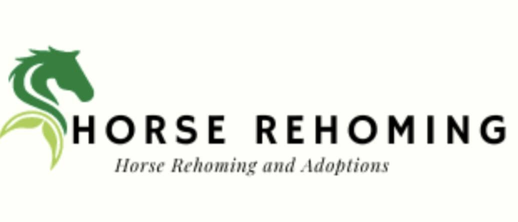 Horse Rehoming: Where Equine Elegance Meets Unbridled Passion